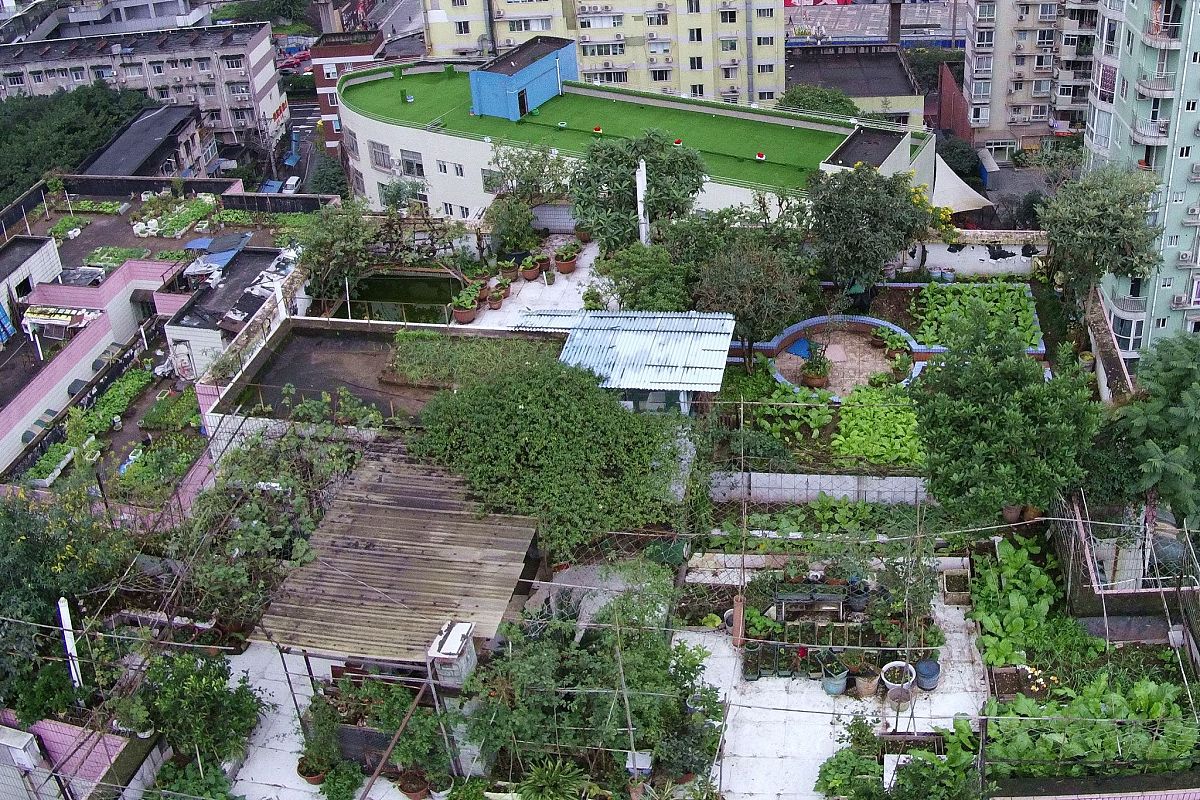 重庆九龙坡幼师职业教育中心2022年招生简章 - 培养优秀幼师，开启教育梦想