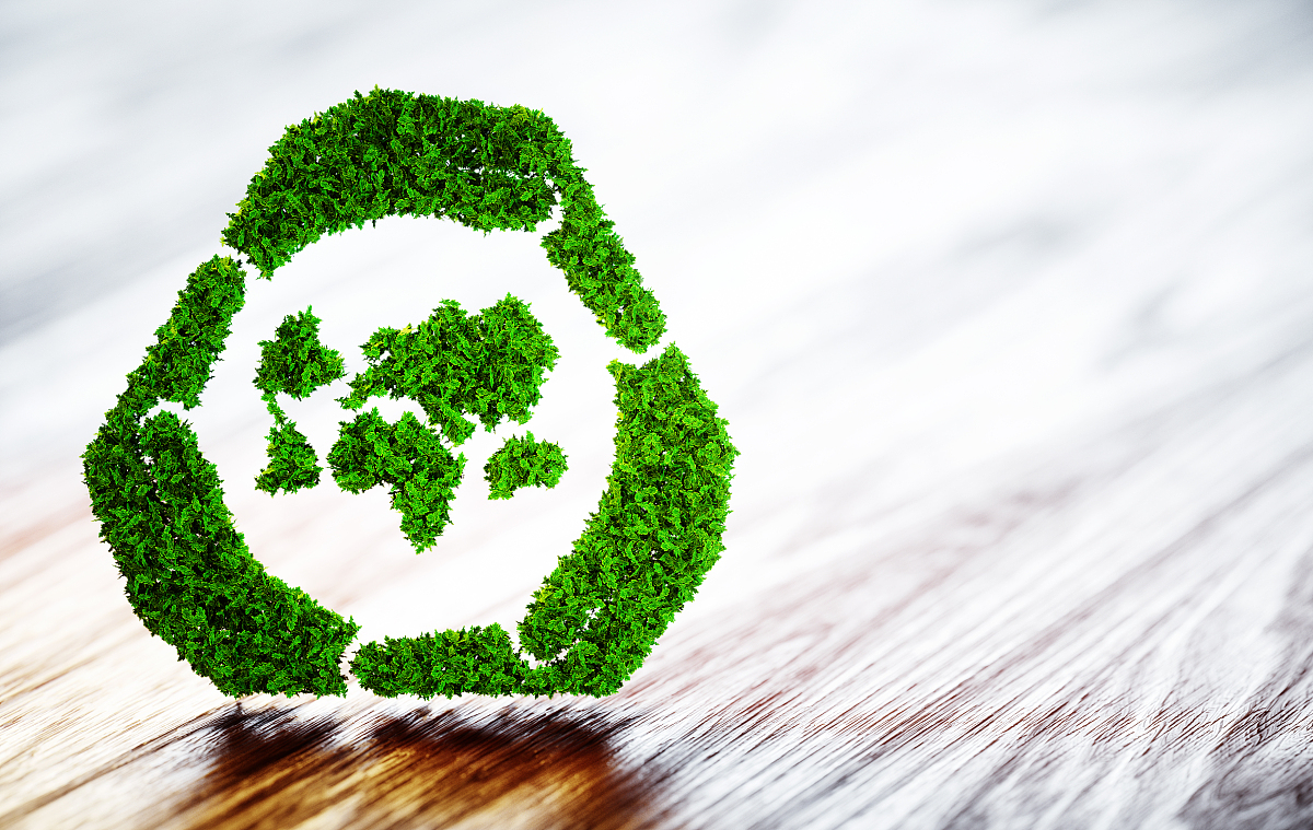 政府在绿色金融发展中的重要作用和影响