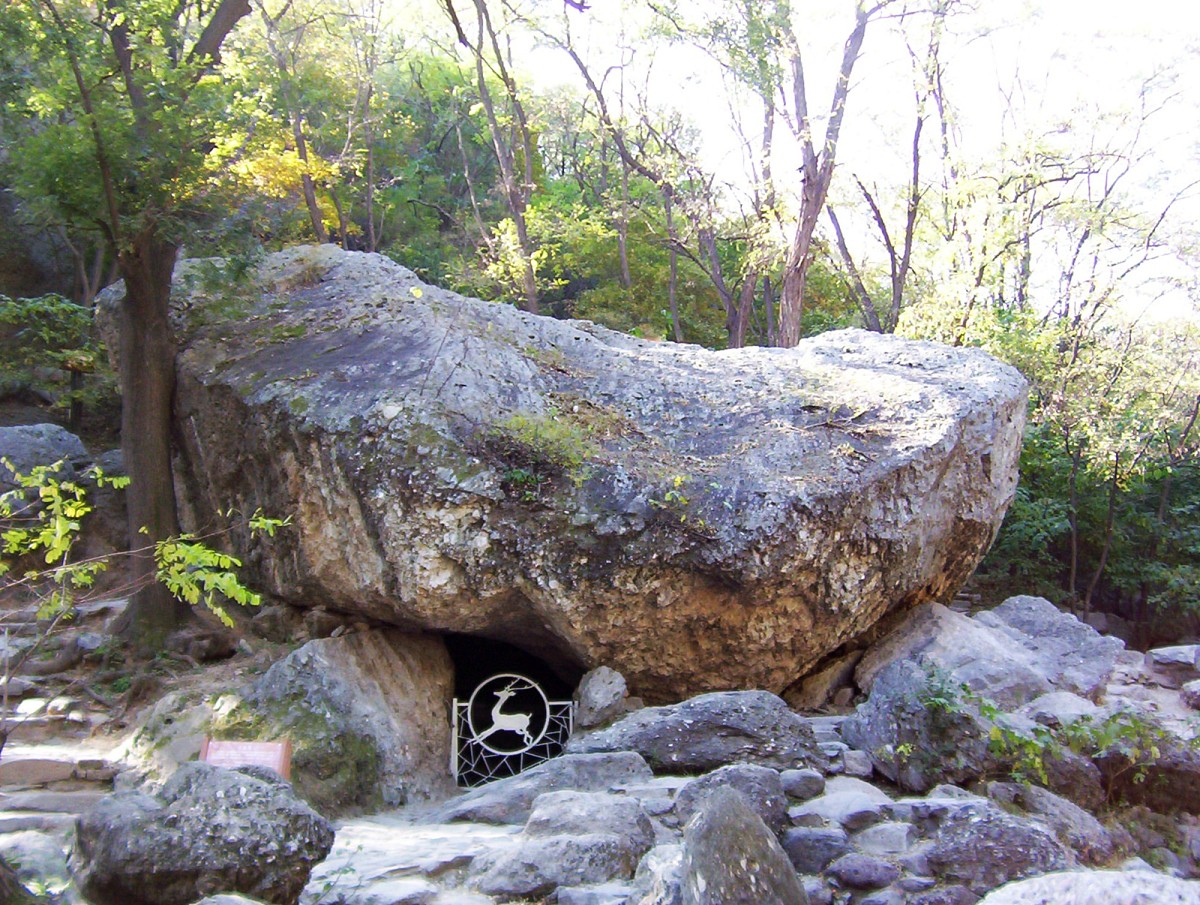 掇水壶作者是谁掇水壶是一部古典小说作者为清代作家曹雪芹。继续