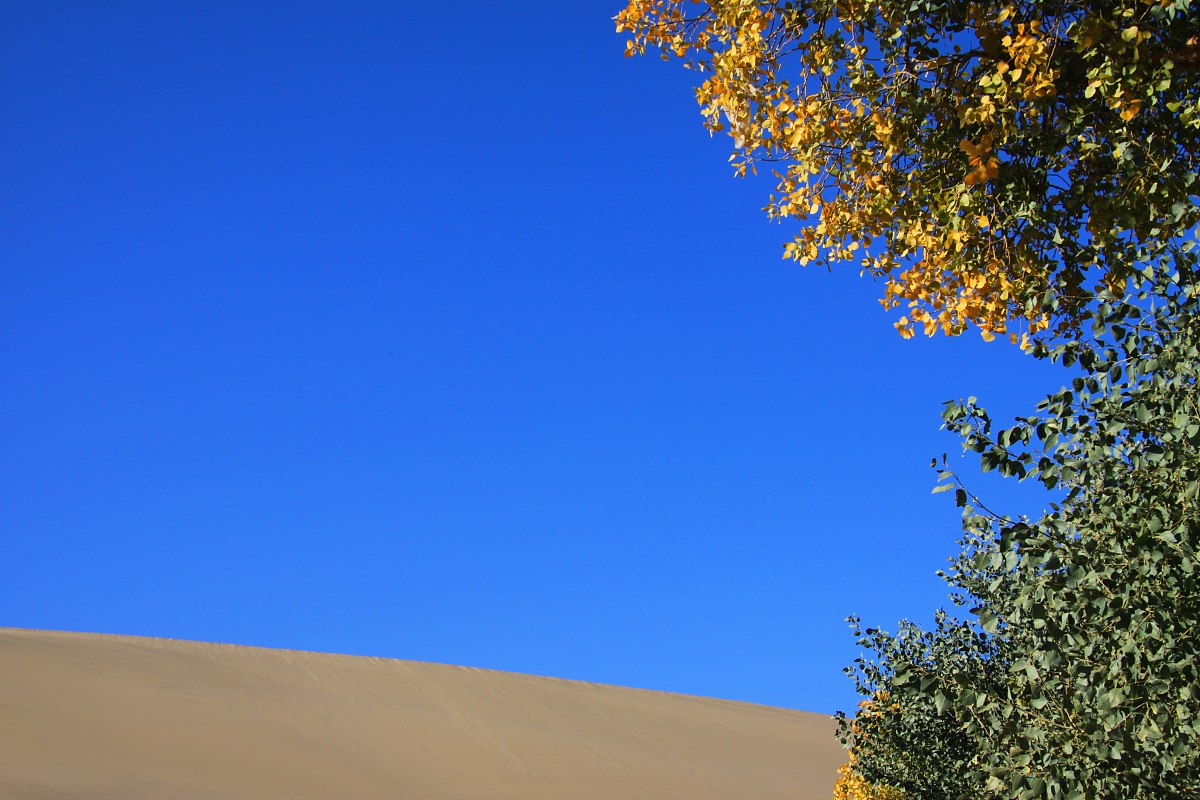 甘肃有电子商务专业的中专中职学校哪家好