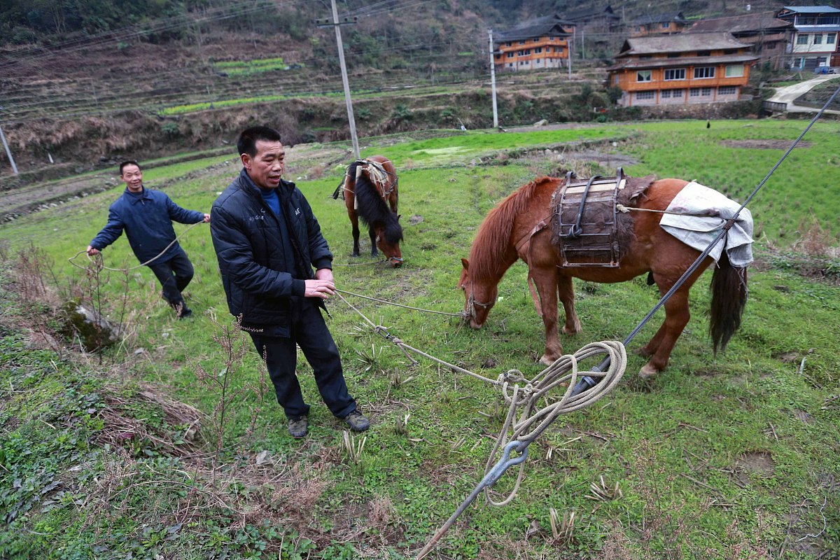 2015年3月10日,广西桂林木洞山屯,***_***    每天家长送完孩子后,将