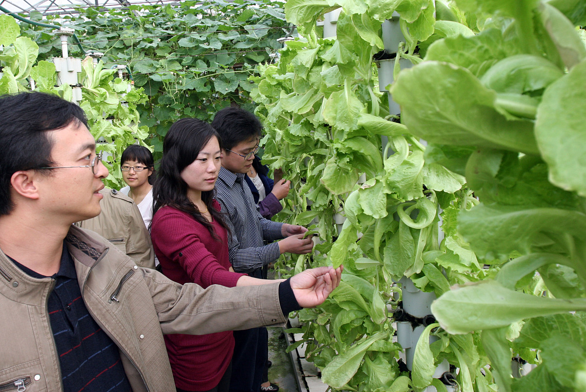 农家乐经营策划方案：从市场分析到营销策略