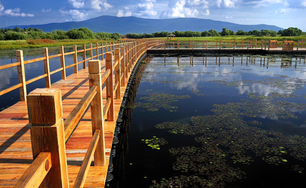 黑龙江生态工程职业学院药品经营与管理专业就业前景分析