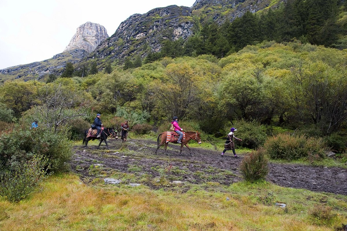 重庆旅游职业学院智慧景区开发与管理专业就业方向有哪些