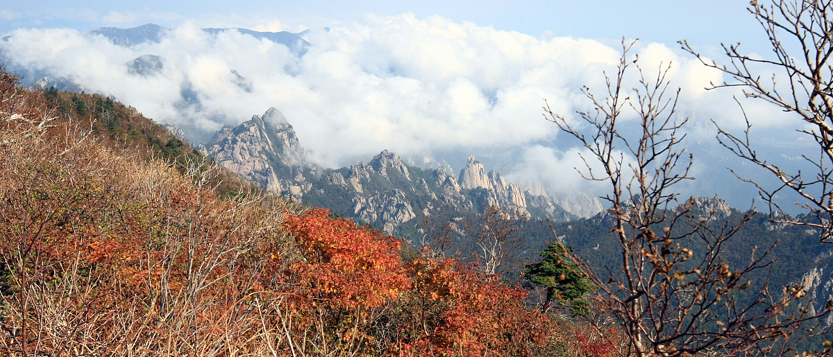 当地时间2012年9月25日,韩国雪岳山大青峰山路上出现今年第一丛红叶,