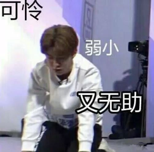 她真的是在”登月碰瓷“吗？