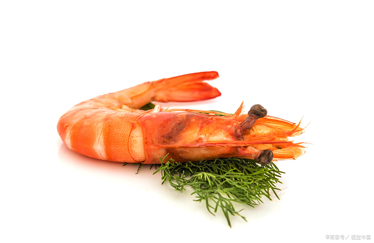 北极甜虾的营养价值超乎你的想象！吃对了，能给你带来这些好处！
