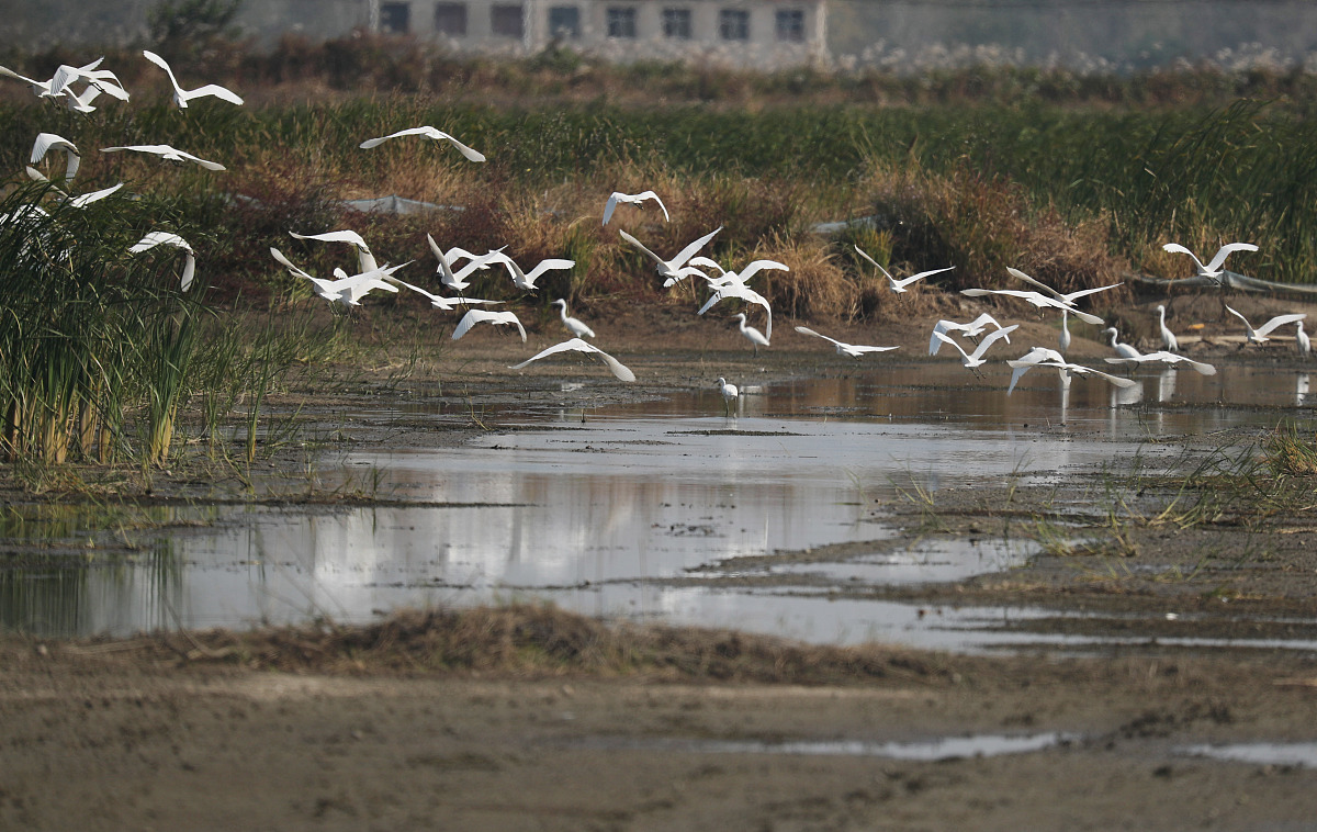 安徽省蒙城建筑工业中等专业学校2022年招生简章 - 建筑工程专业前景与发展