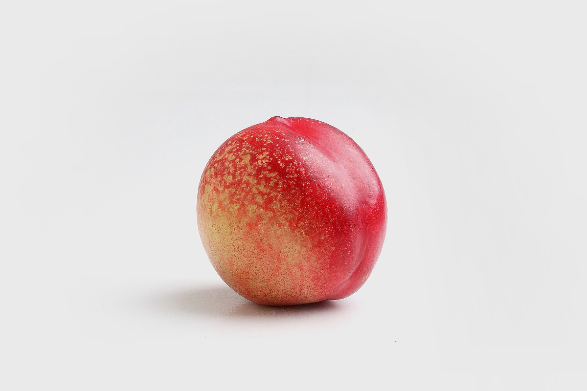 肇庆市属于哪个地区？粤东还是粤西？