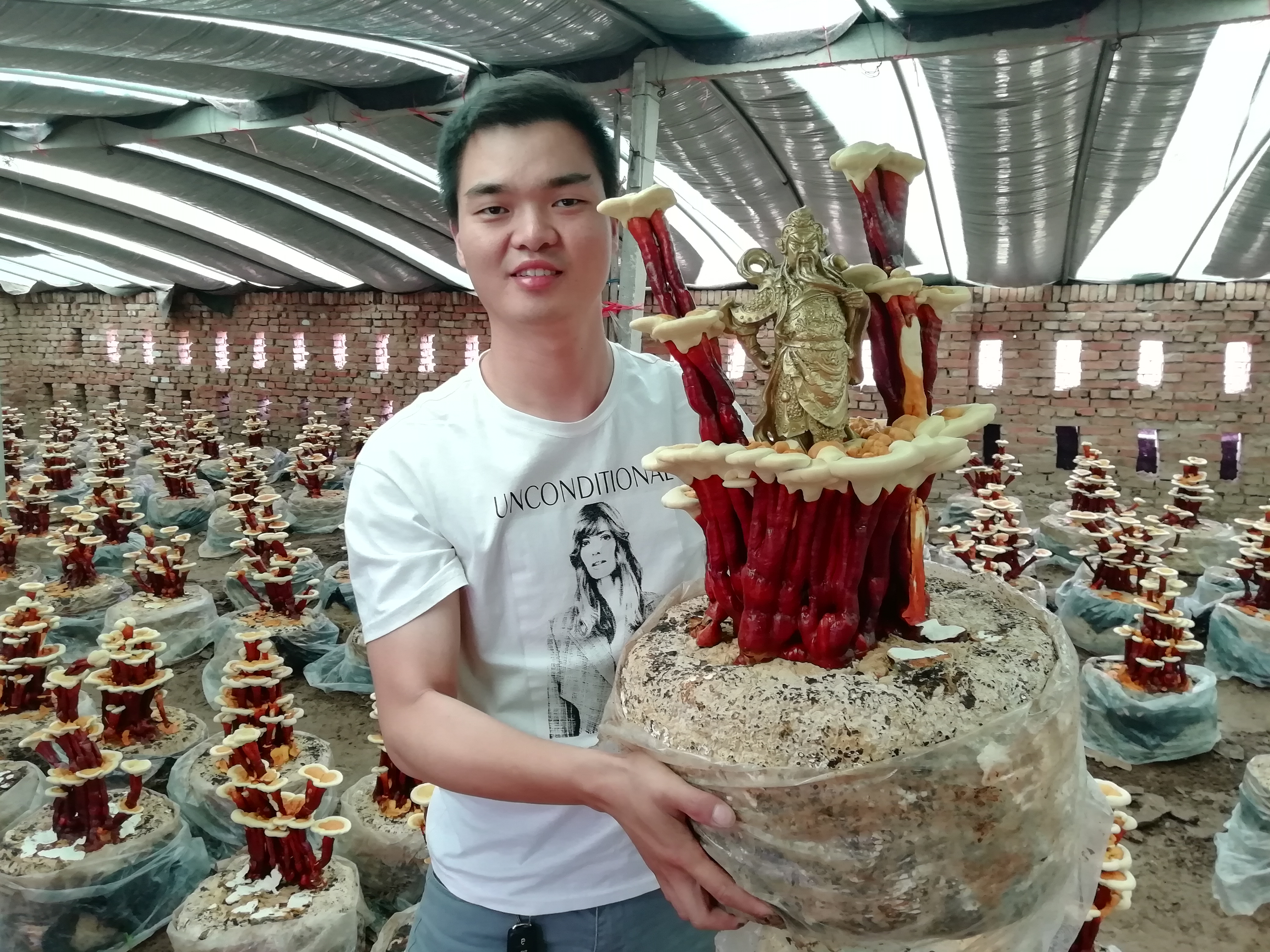 农村人小伙子在乡下种植灵芝致富