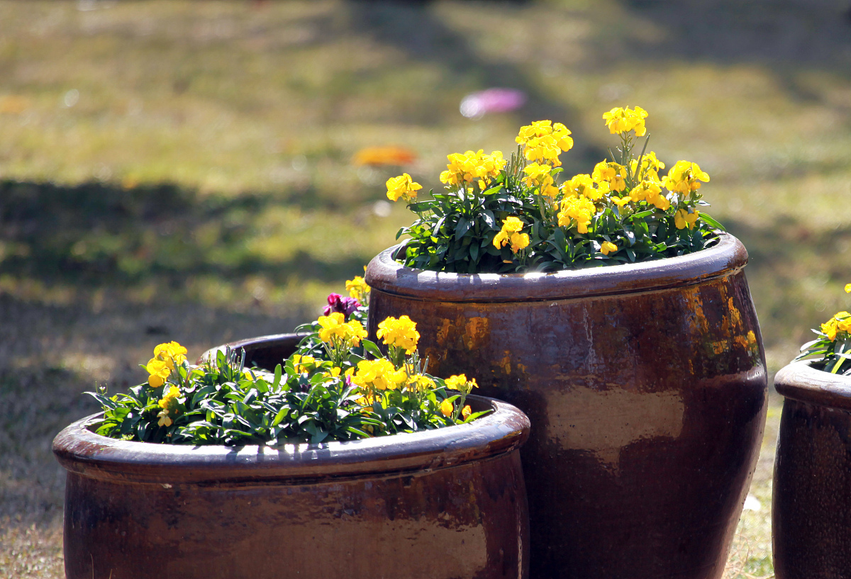 四川城市职业学校：女生适合学习临床医学专业吗？