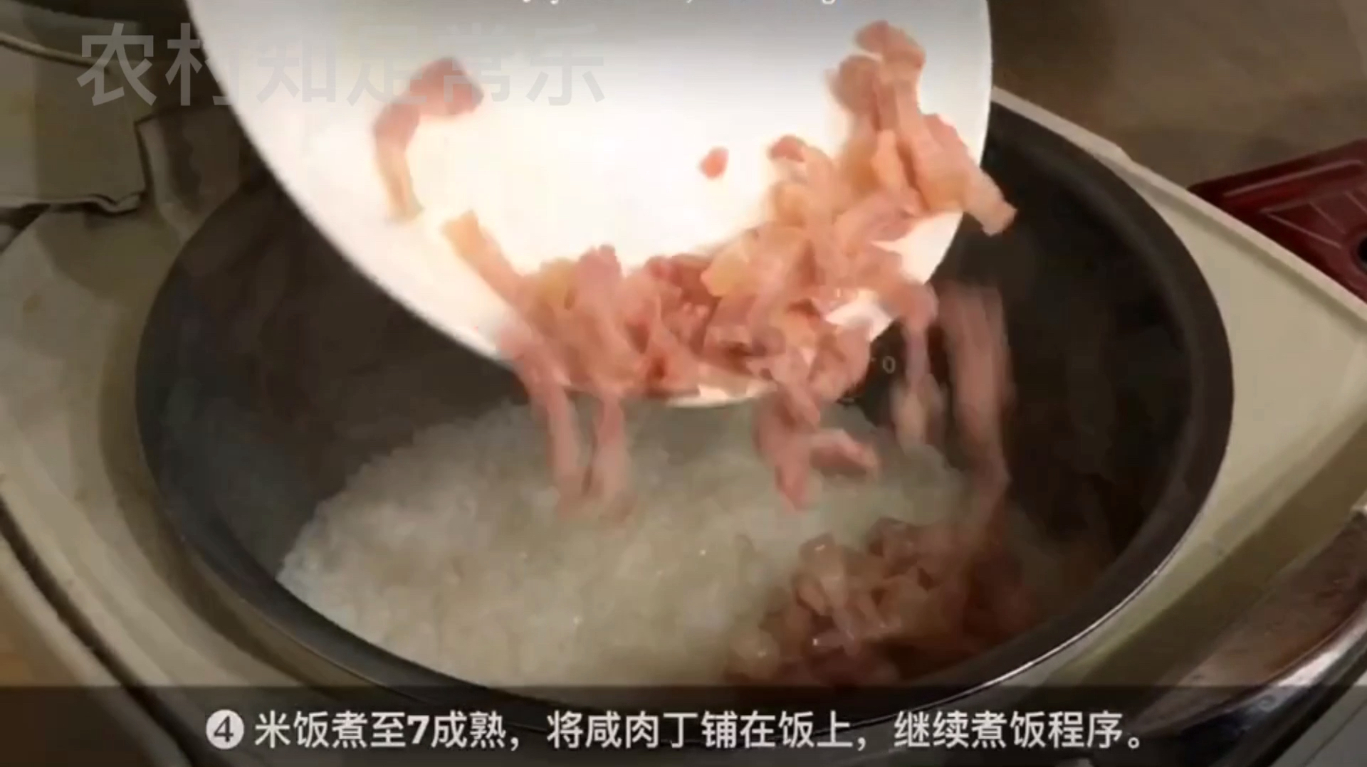 美食推荐之咸肉菜饭,大厨教你用电饭锅制作咸肉菜饭,香气四溢