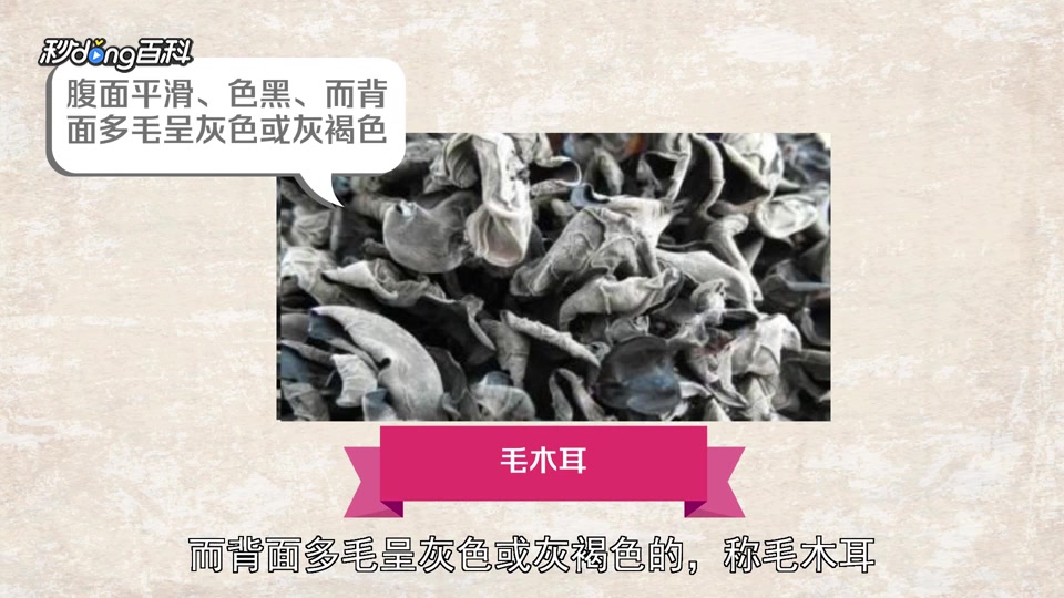 一分钟了解黑木耳