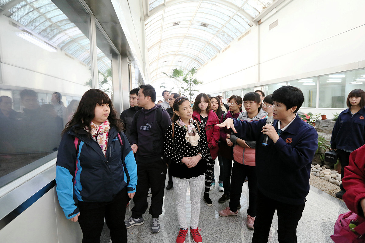 国有企业标准工作制度详解：规范流程，提升效率，增强竞争力