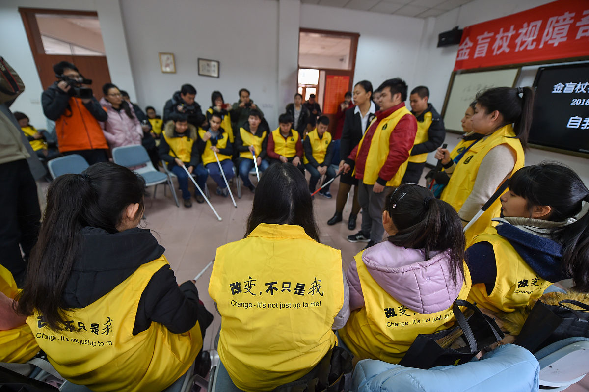 2018年南京特殊教育职业技术学院排名 - 特殊教育领域佼佼者