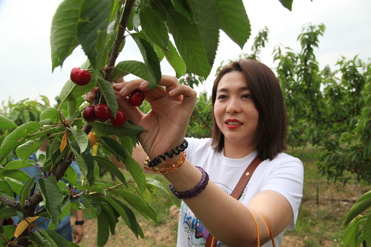 ACTA MECHANICA期刊：机械工程与力学研究的领先平台