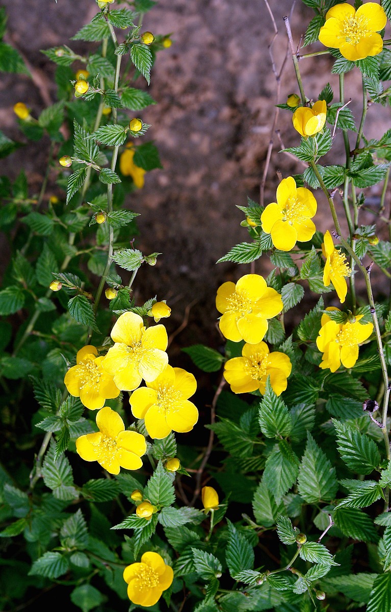 10个大气顺口的床垫品牌英文名，助您一夜好眠