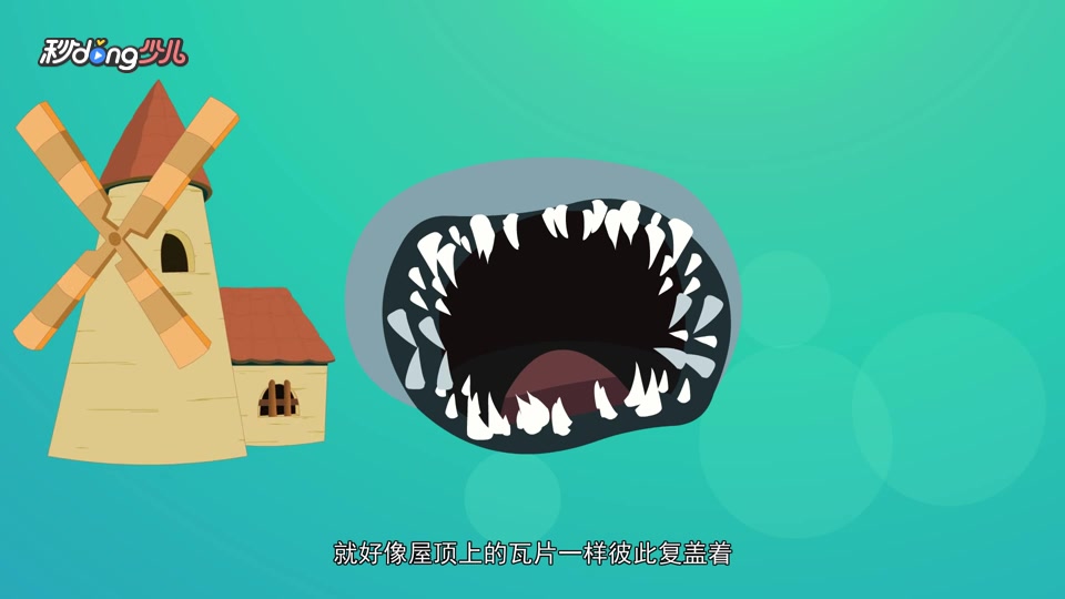 为什么鲨鱼一生要换几万颗牙齿?