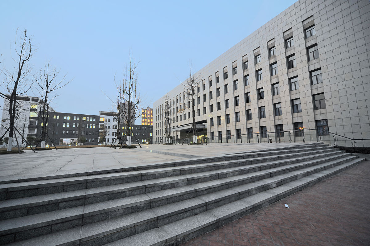 长江艺术工程职业学院是公办还是民办学校？