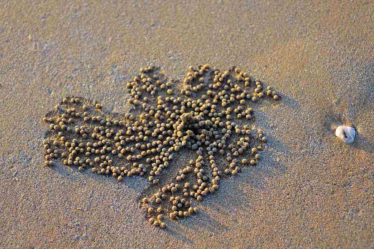 如何利用沙子进行艺术创作