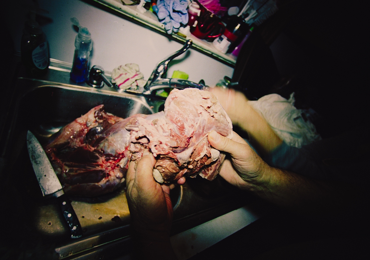 2023年女生学法医好就业吗 适合女生学吗