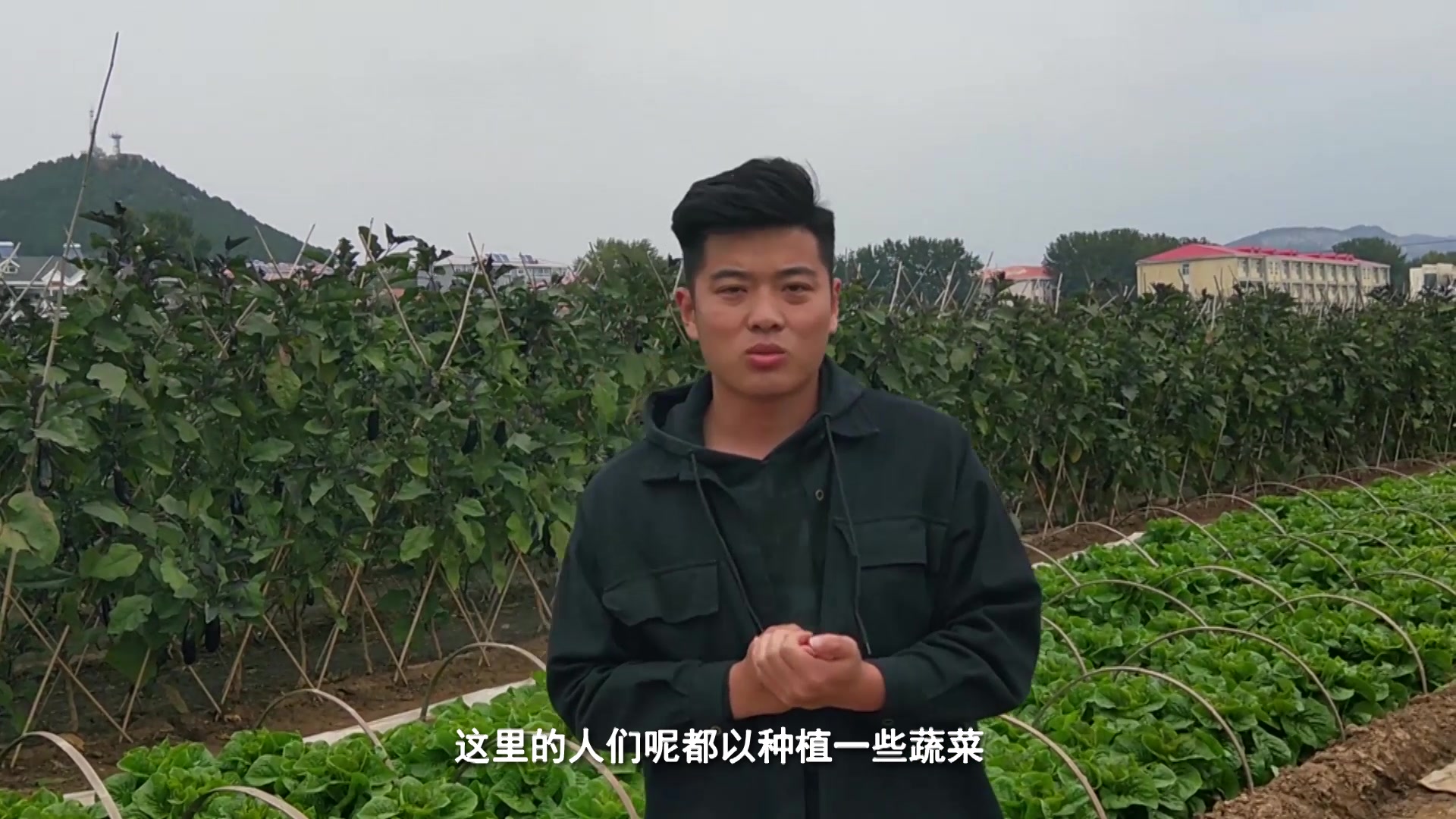 在莴苣生长过程中要注意这1点,这样更有利于莴苣的生长发育