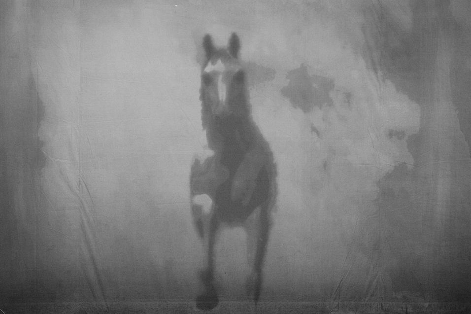 2020年上海市工商外国语学校招生简章 - 报名时间、条件、流程