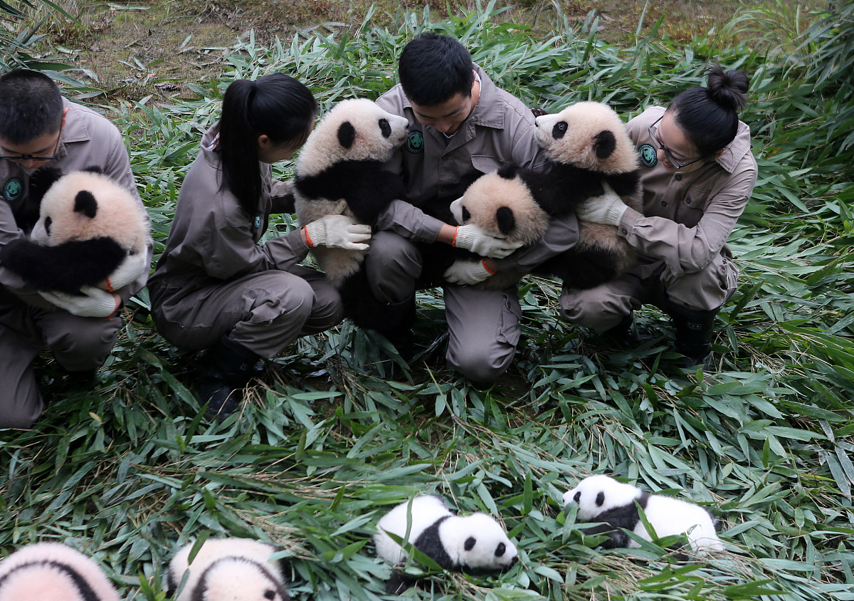 成都幼儿师范学校入学要求：培养你成为优秀的幼儿教育工作者
