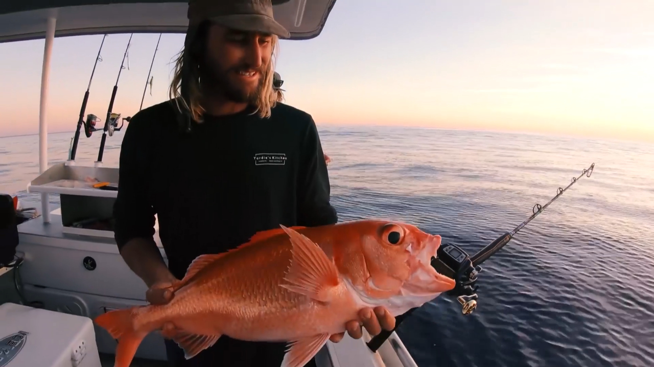 不断钓鱼只为收获条肉质美味的鱼,最后选择红鲷鱼,做个鱼肉夹馍