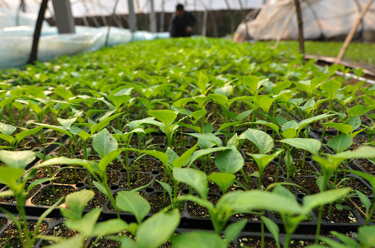 贵州省农科院子校2023年招生简章-专业设置及报名条件