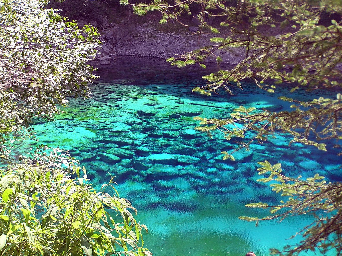 成都职业学校旅游服务与管理就业方向好