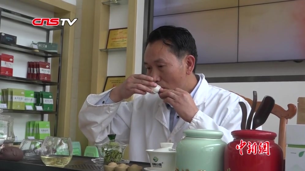 「新中国从这里走来」看贵州“茶王”手工制茶法:听音辨温 徒手炒茶