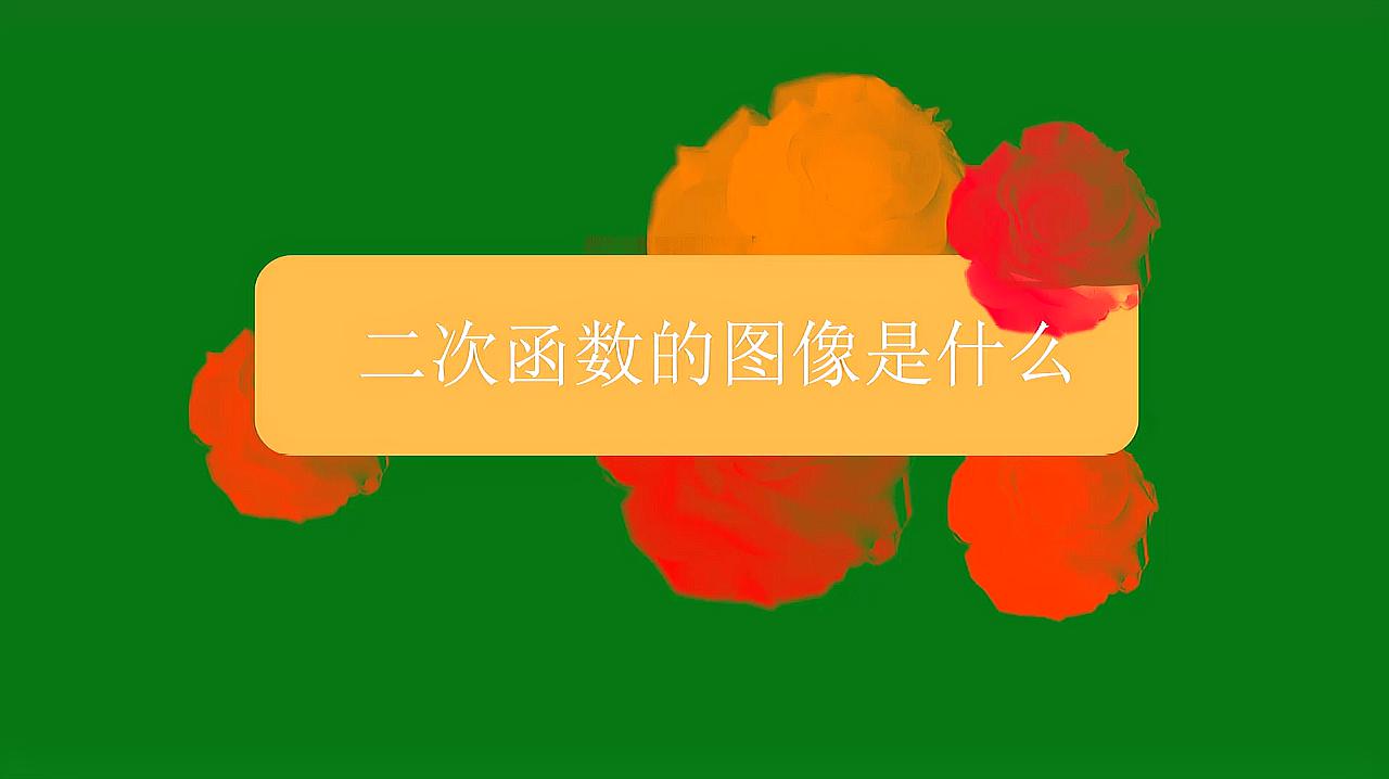 [图]二次函数的图像是什么