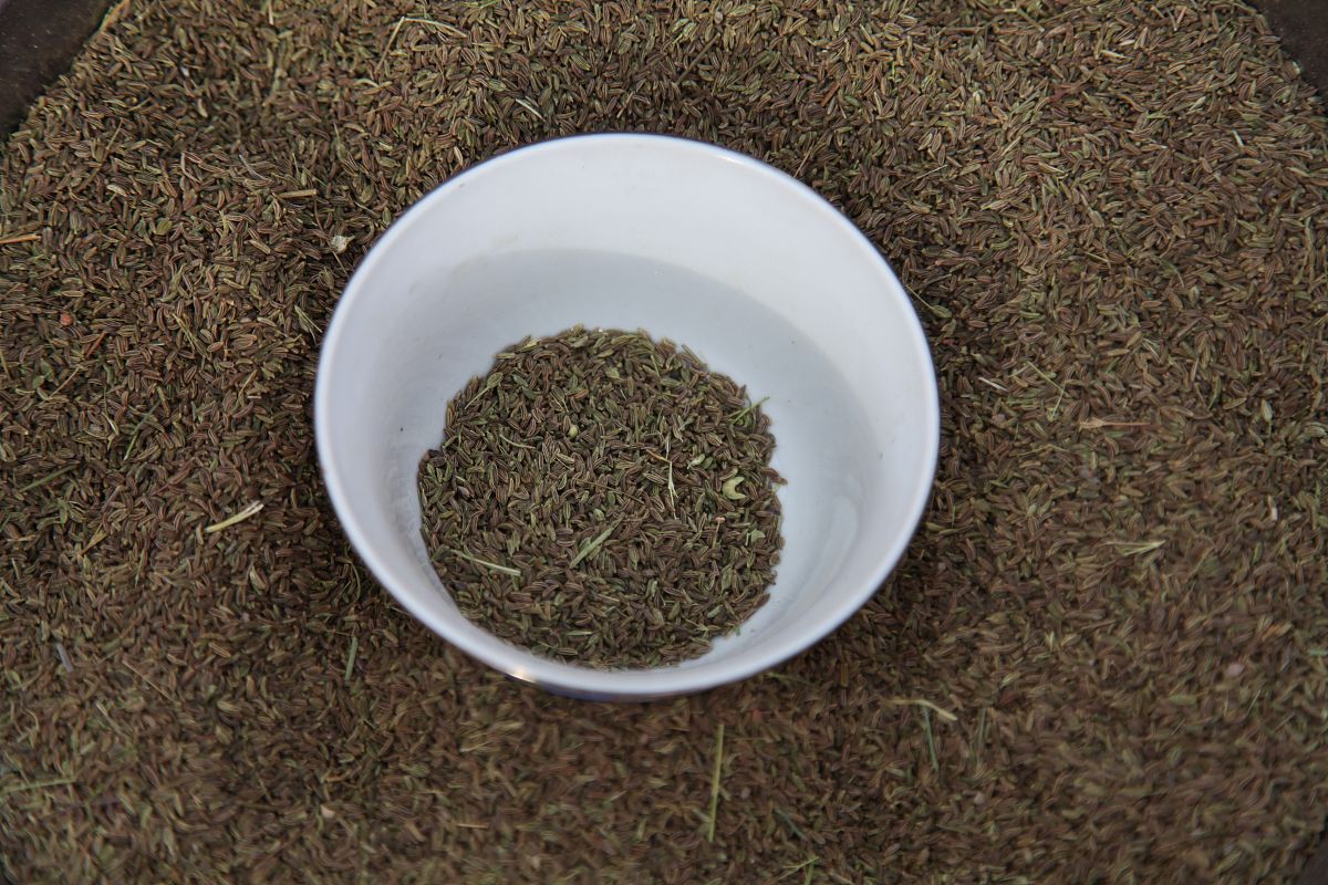 决明子可以洗和晒吗