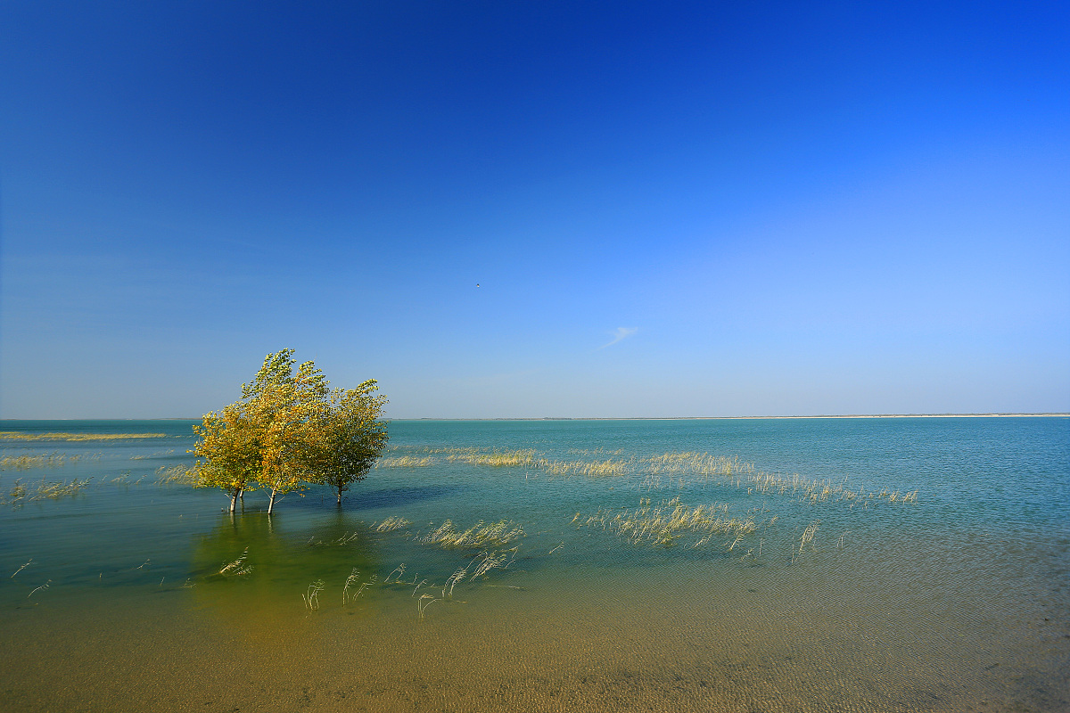 2013年10月04日,吉林白城:向海美景***_***吉林省白城市通榆县向海国