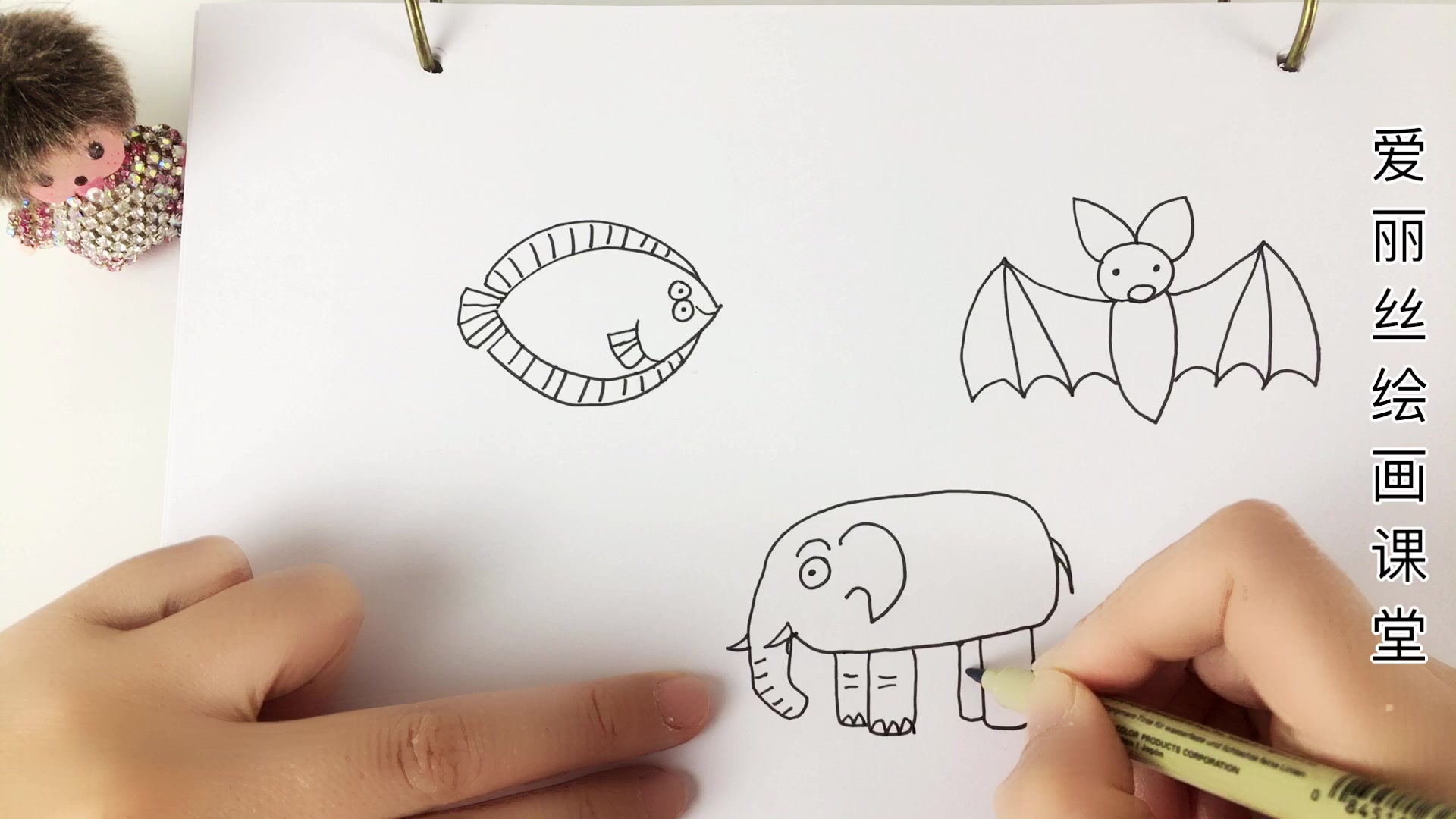 儿童画:绘画达人教你画比目鱼、蝙蝠和大象,快教你的宝宝一起画