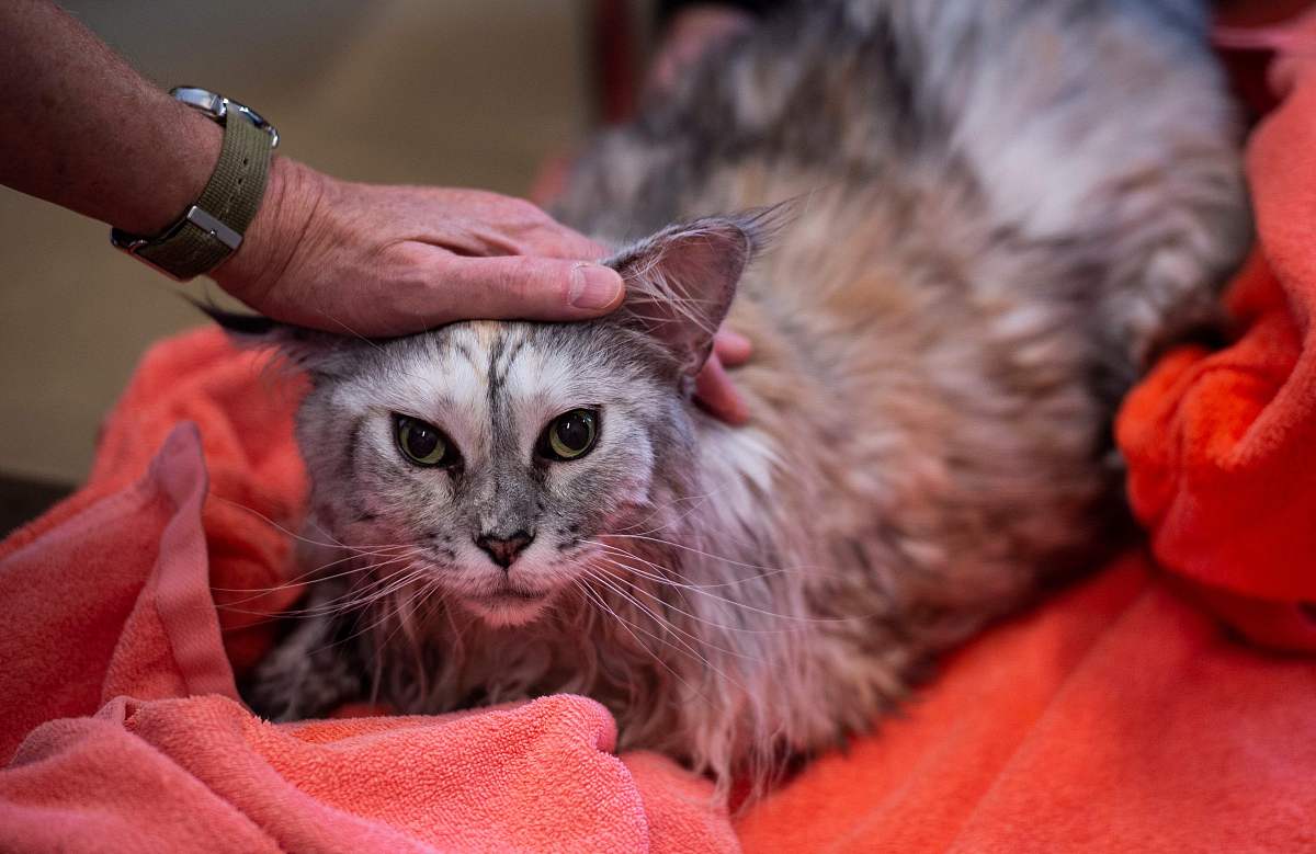 功效系数法改进：变动比重提升评价结果准确性