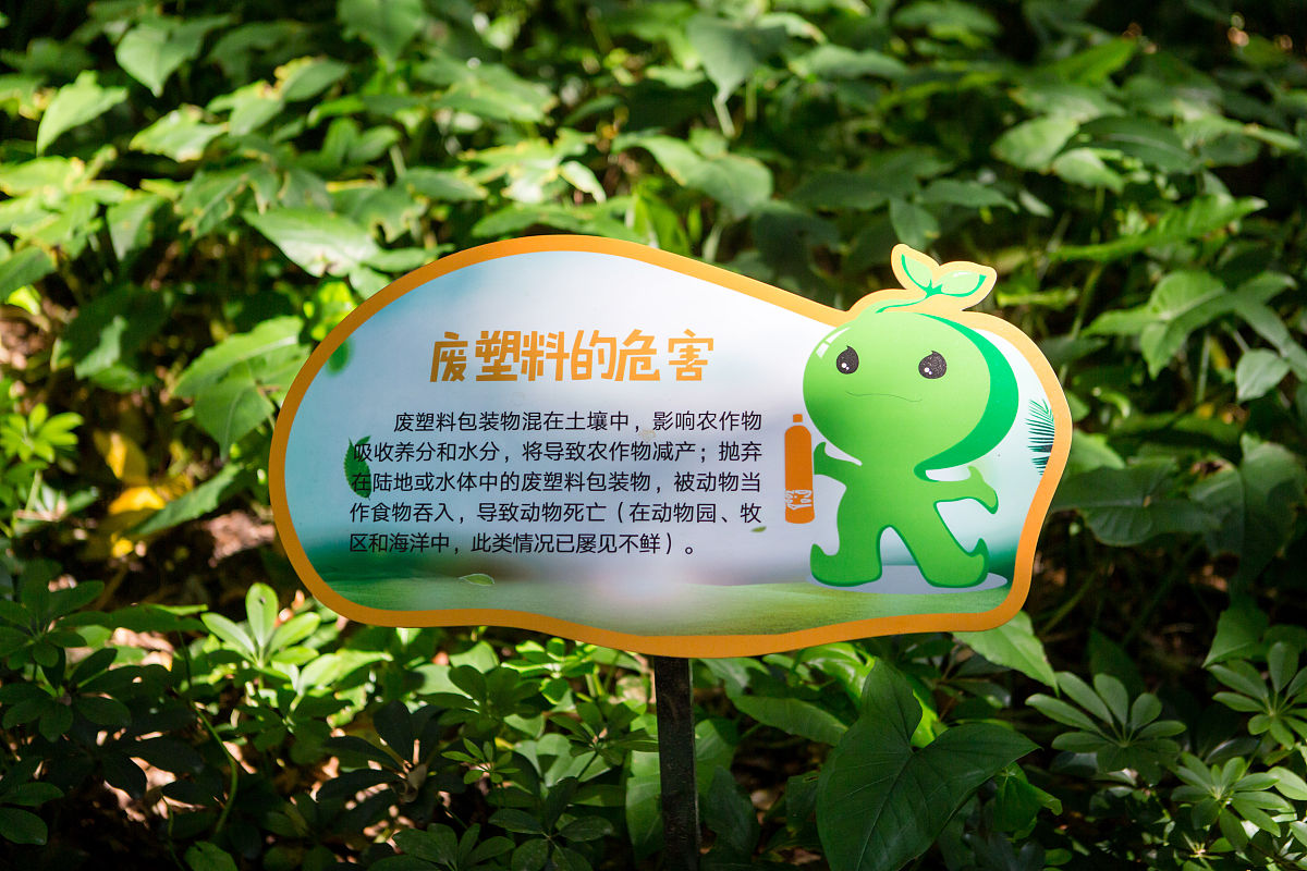 写一篇关于垃圾分类和清明节的报道