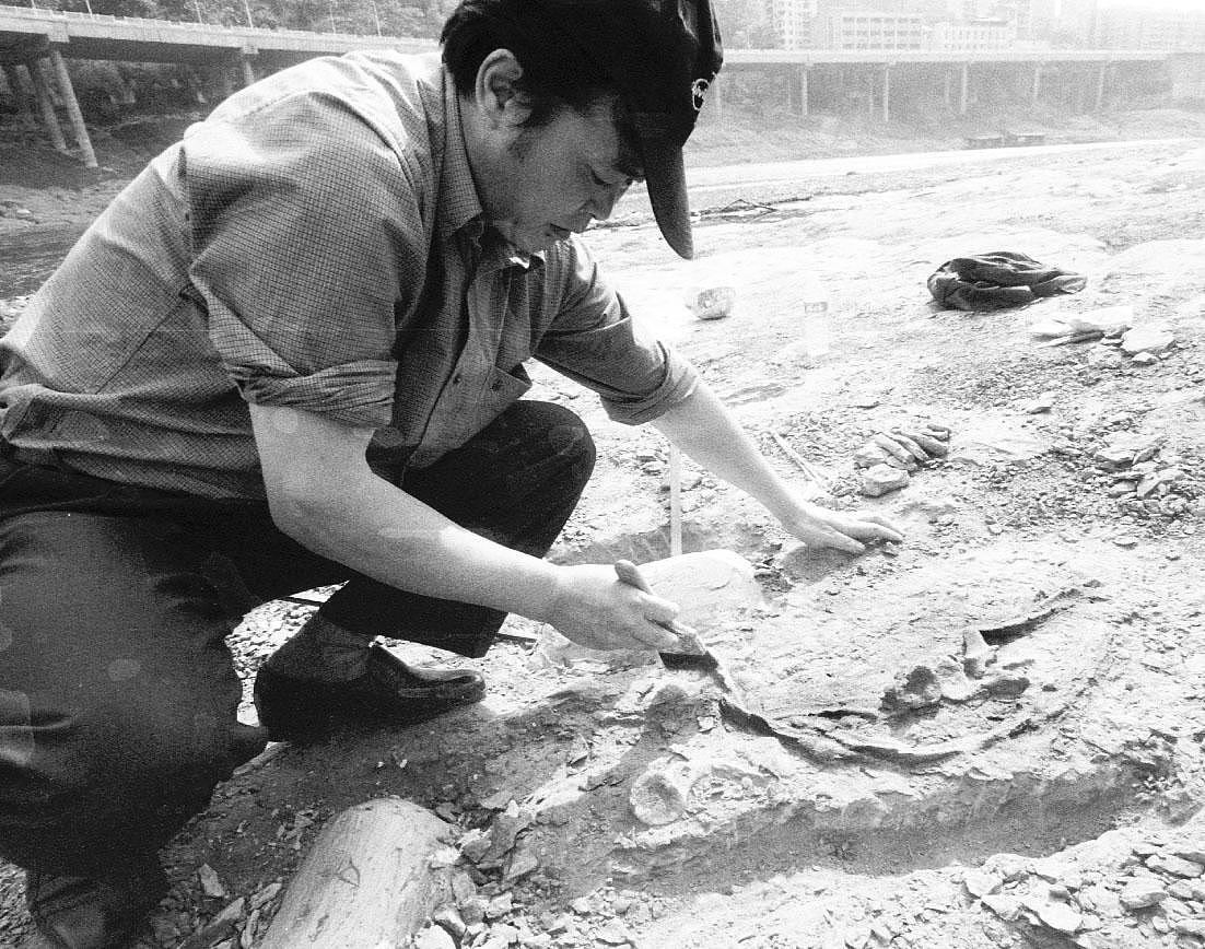 沈阳师范大学古生物学专业怎么样