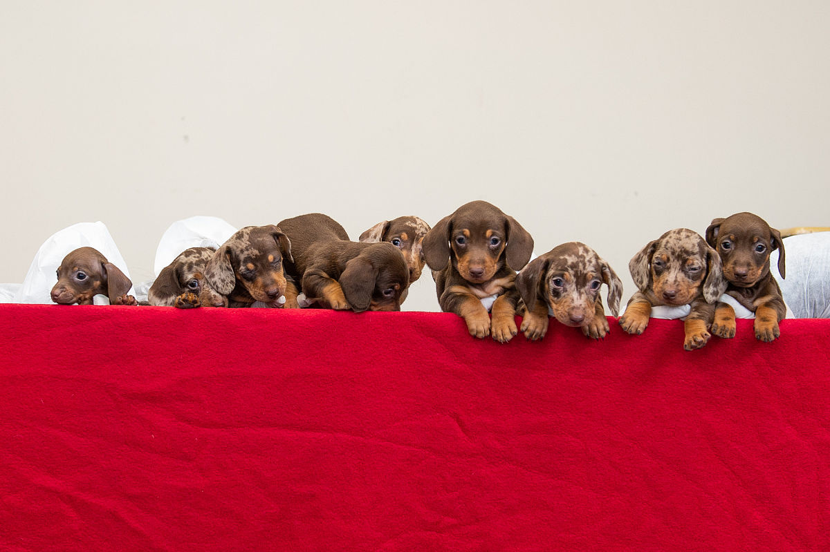 如何提取某一期刊的特定命名规则具体点