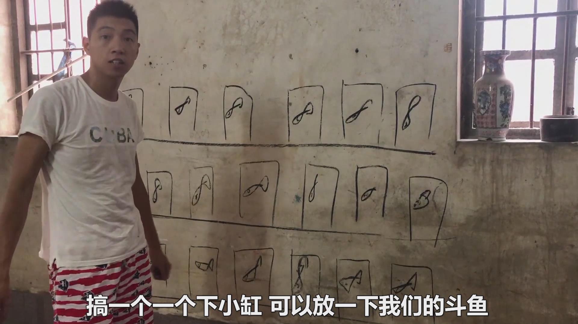 不懂养鱼创业Vlog:小伙用旧房子改造养鱼房,60平方能养什么鱼?