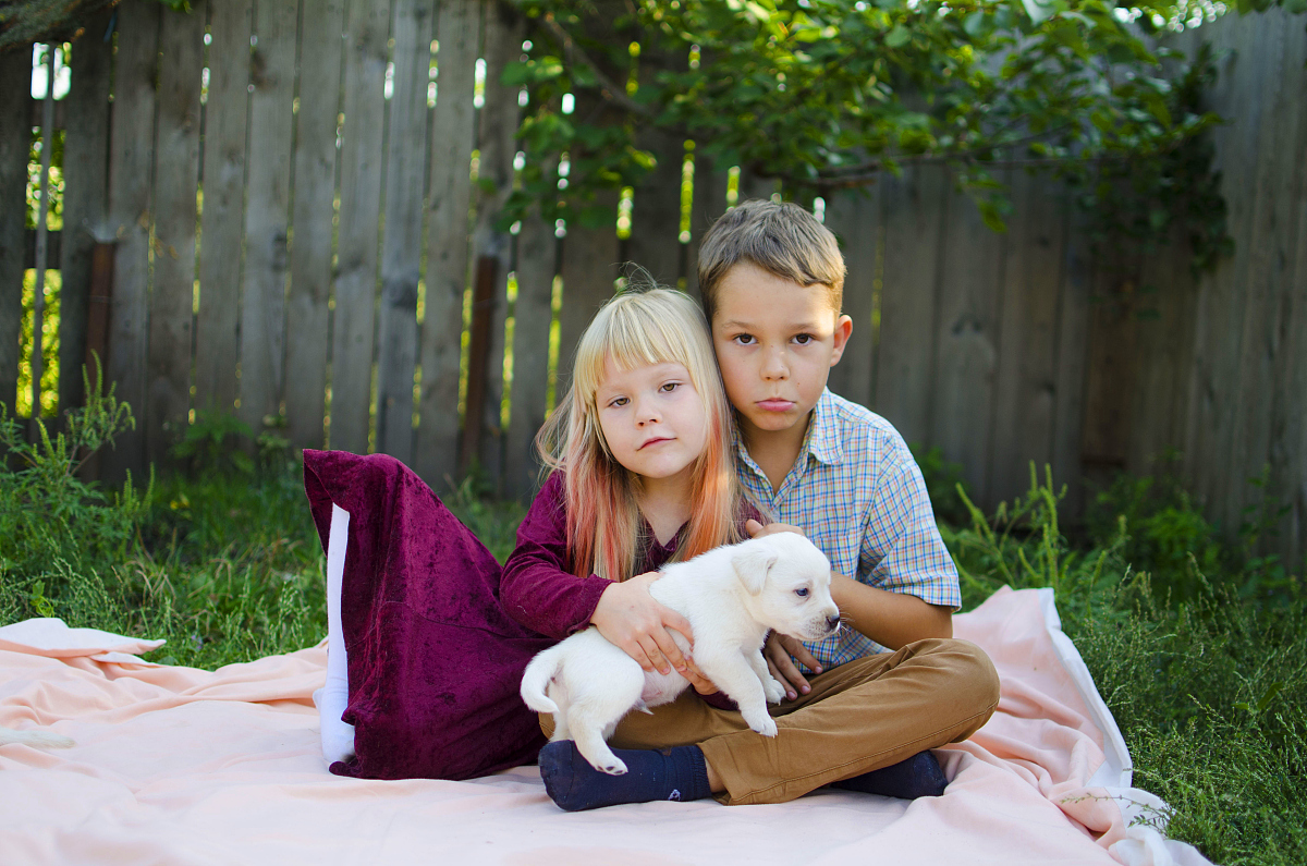 sister and brother with dogs. cut pets with girl and boy.