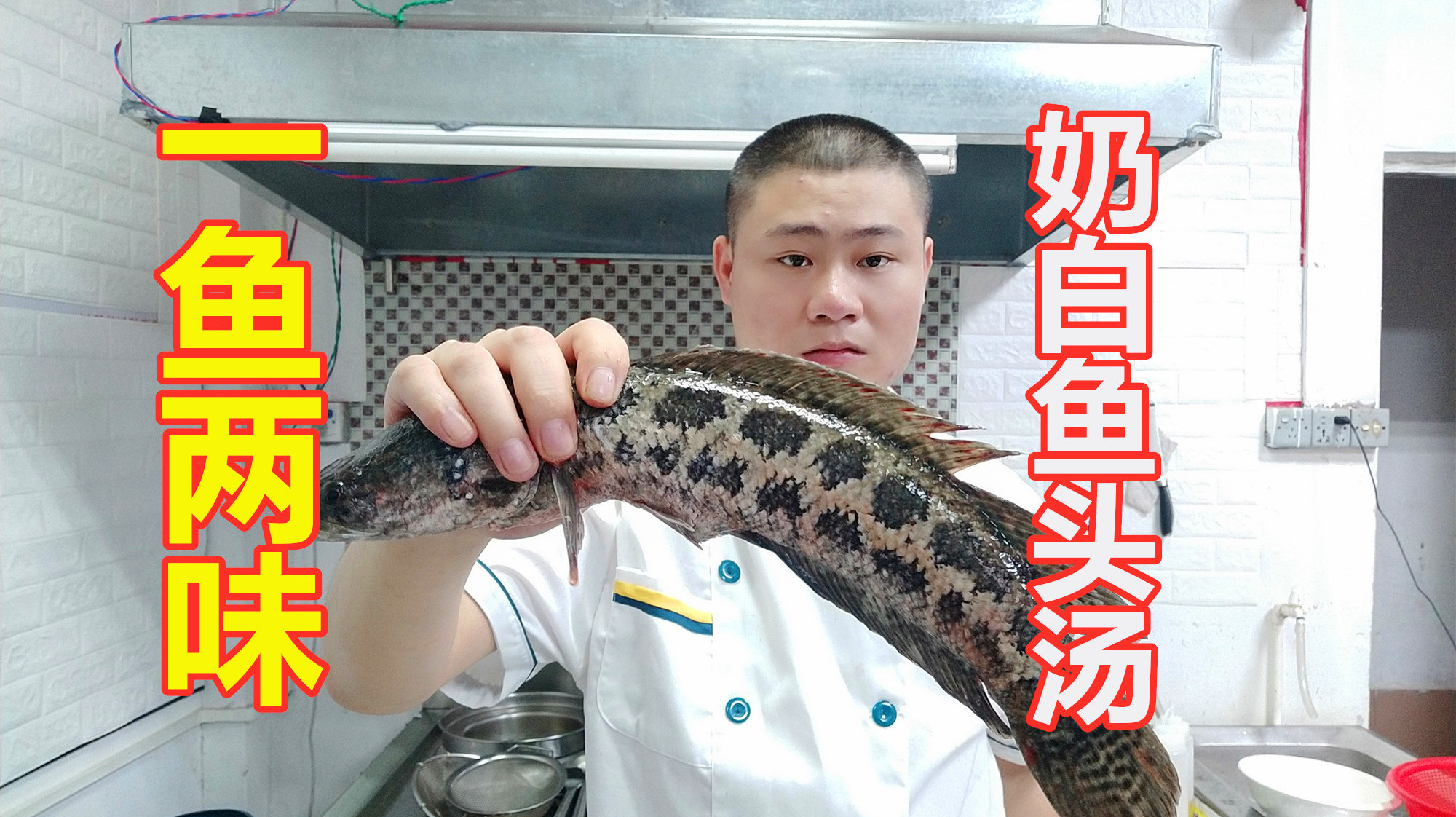 大厨分享一鱼两吃之“奶白鱼汤”!鲜甜无渣,营养高,有窍门!