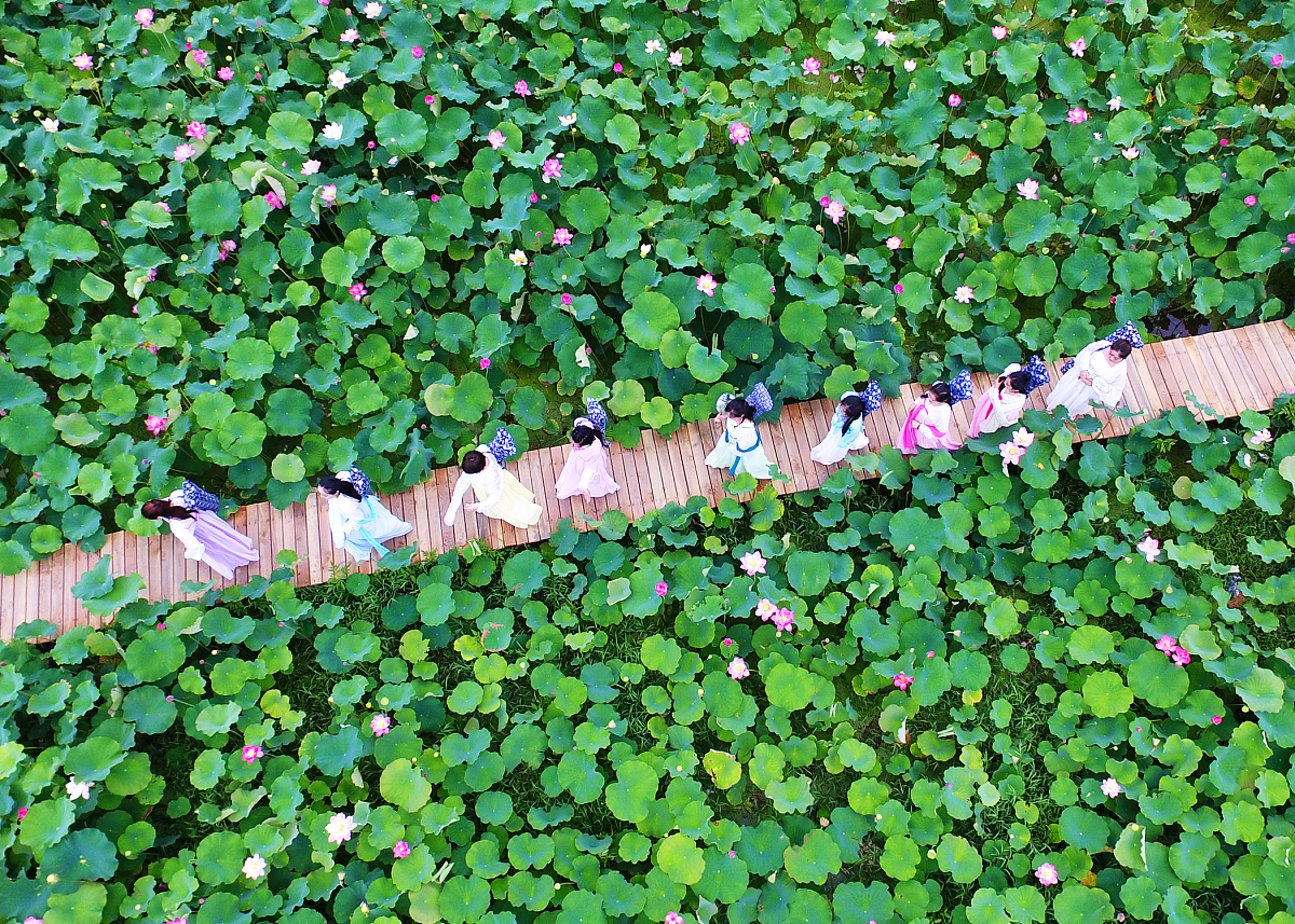 月光照树影，汉服少女弹古筝 - 五言古诗创作