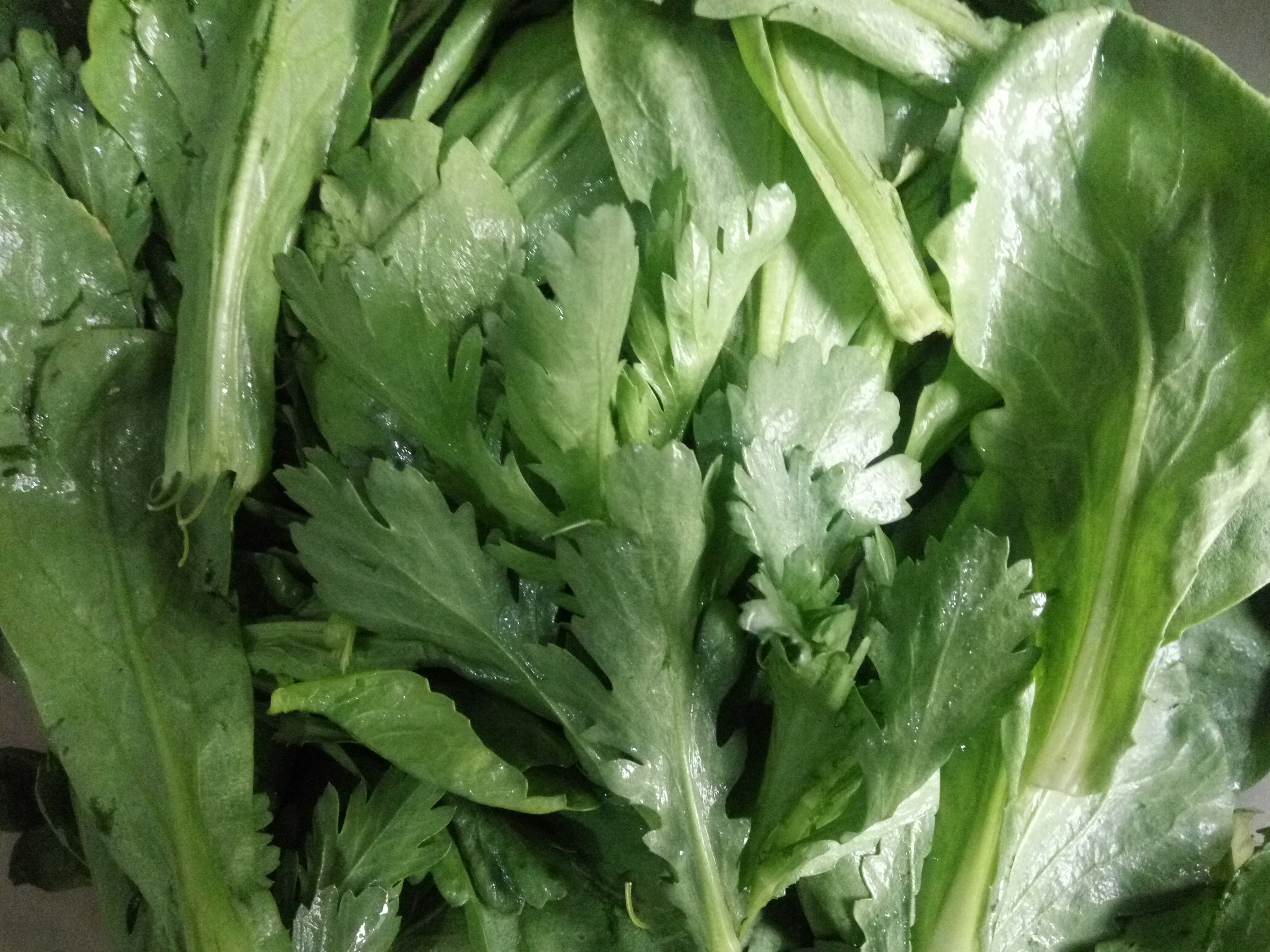 茼蒿有清血养心降压润肺清痰的功效,但不要和这3种食物同吃