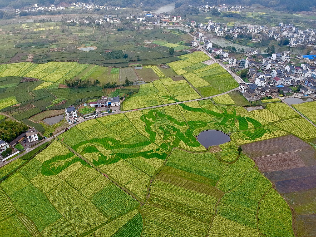 用照片展现无限创意想象：构图、技巧、后期处理全解析