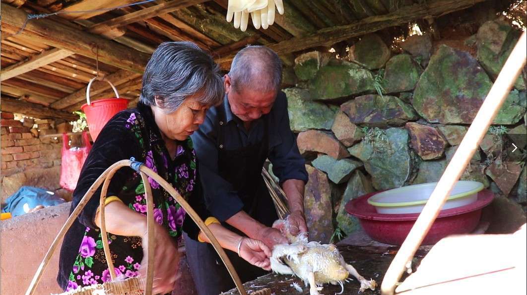 媳妇怀孕30周,舅舅送来一只鸭,公公婆婆忙着杀鸭给媳妇补补