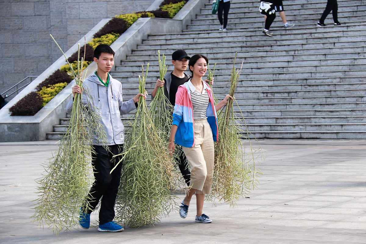 四川大学职业技术学院哪些专业就业率高前景好