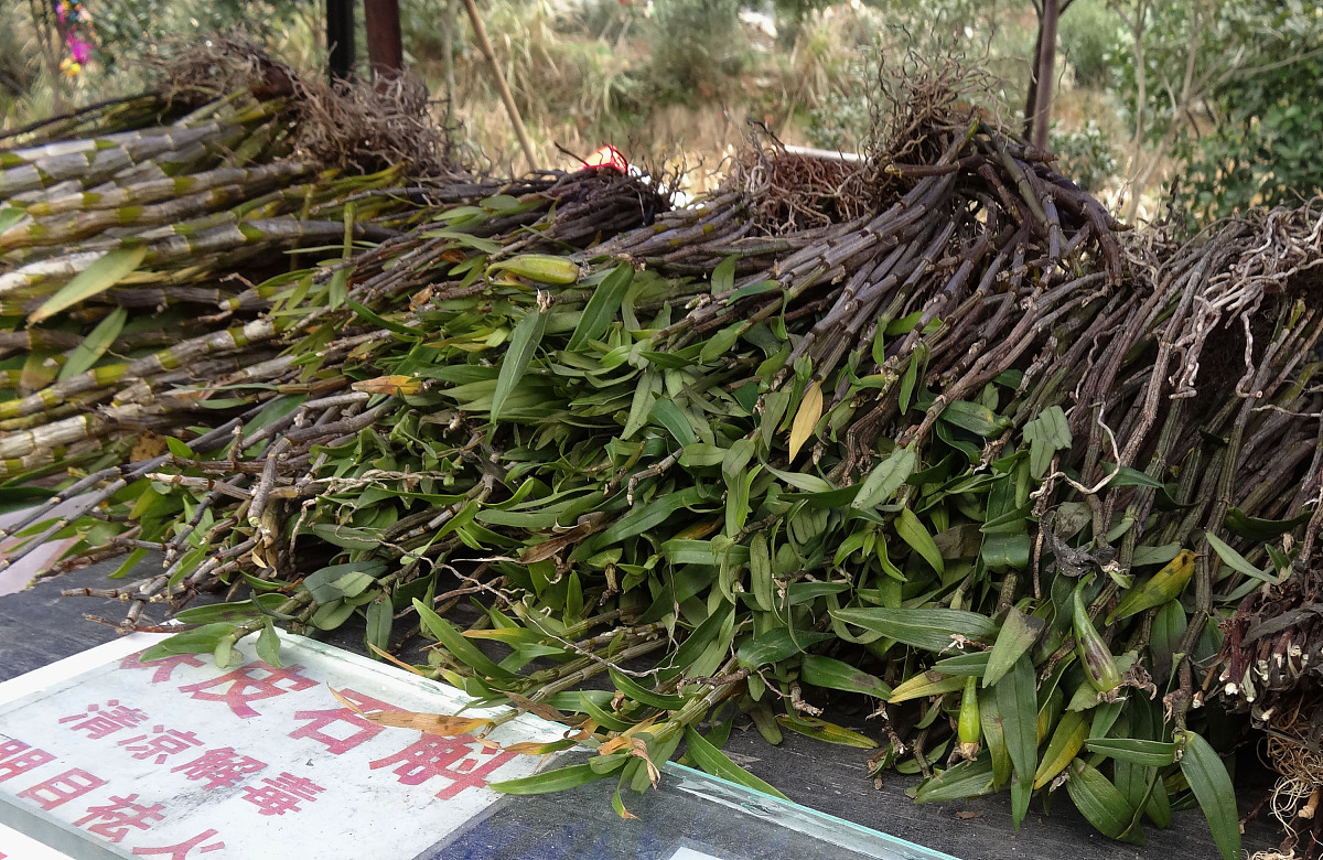 肝胆相照荣辱与共什么时候提出