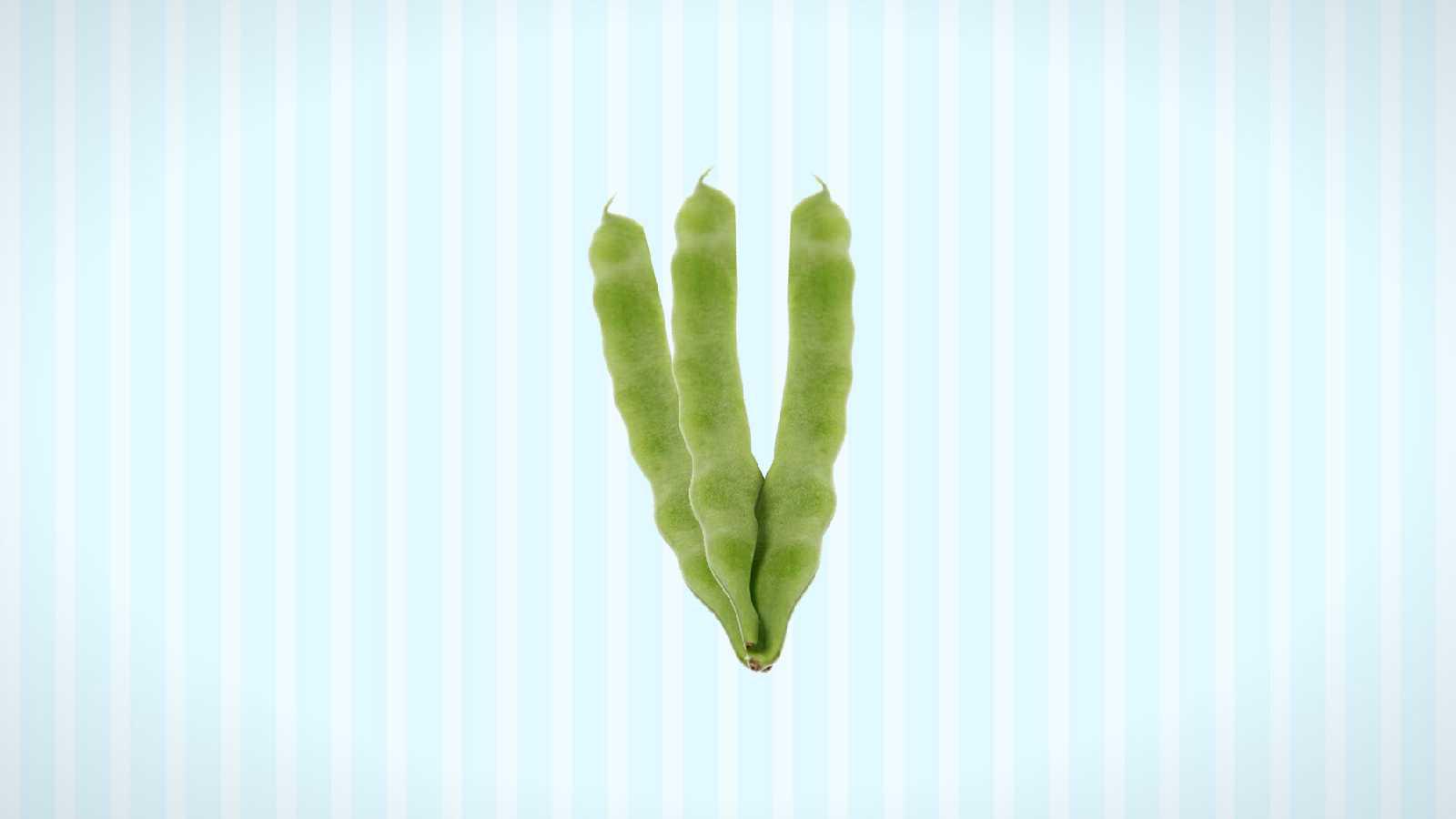 原来菜豆属长这样